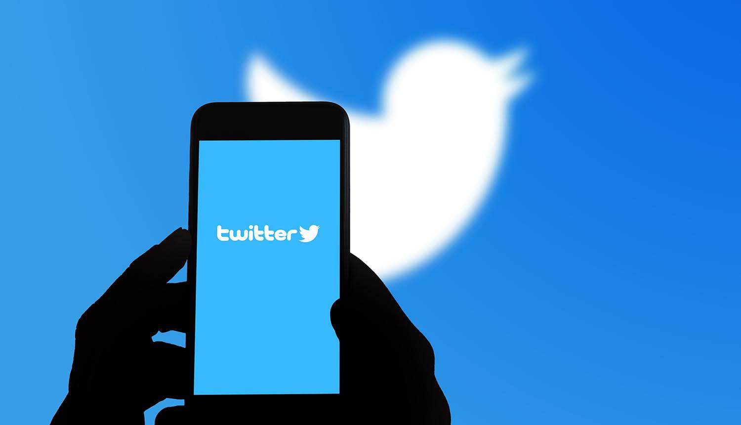 Using Twitter for Effective Number Screening and Digital Marketing